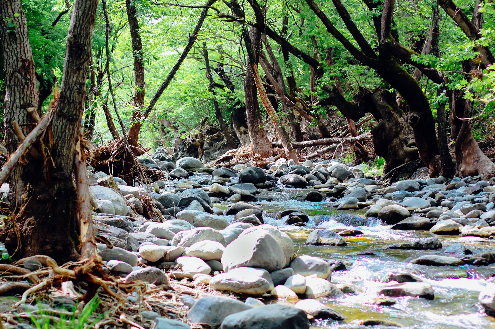 Paradise Exists in Macedonia, and It Is Located in the South of the ...